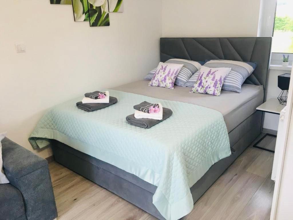 Apartamenty Pod Cisem 库多瓦-兹德鲁伊 外观 照片